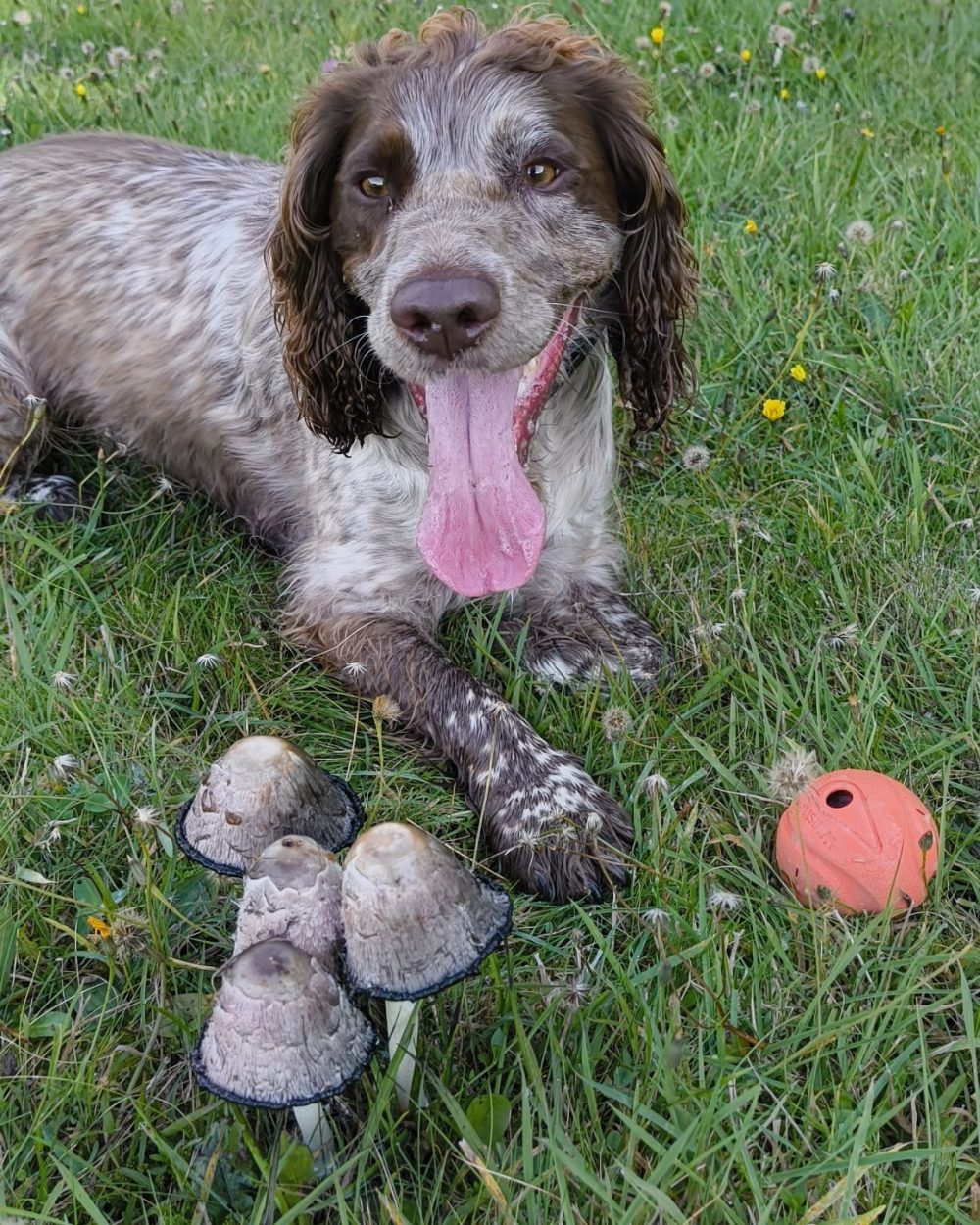 IMG_20250927_103206064