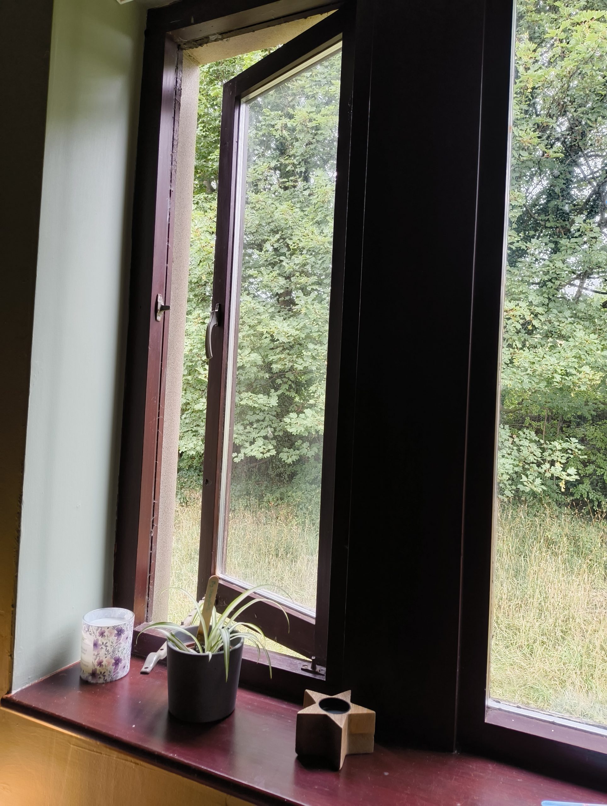 IMG_20250723_143410024