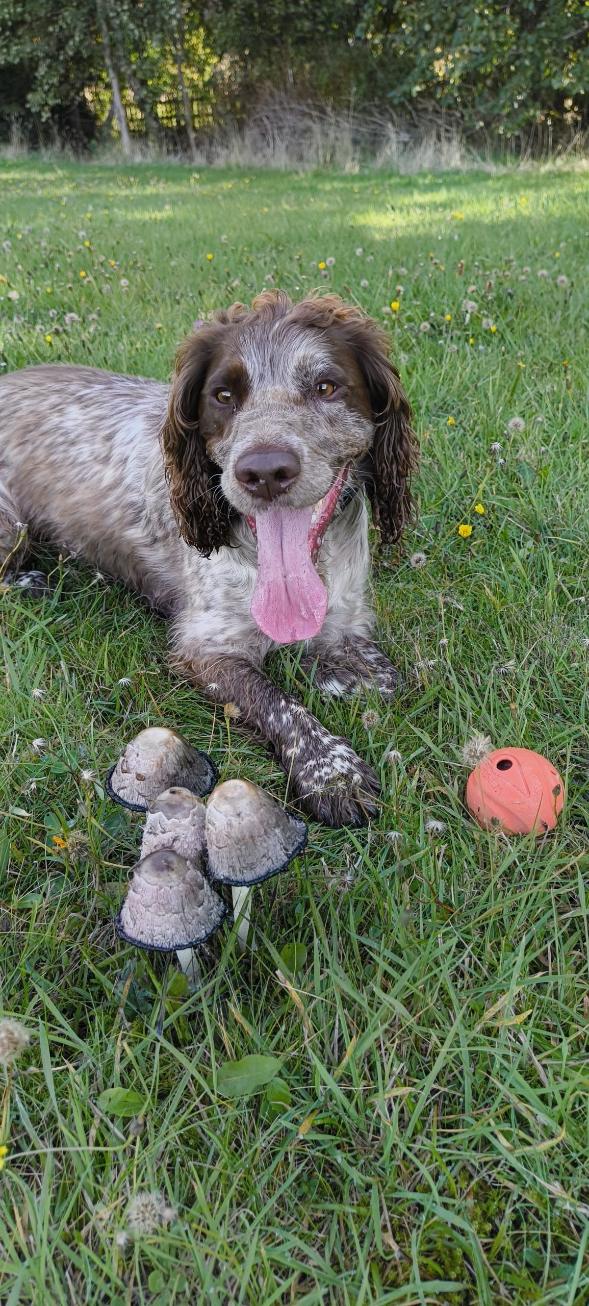 IMG_20250927_103206064